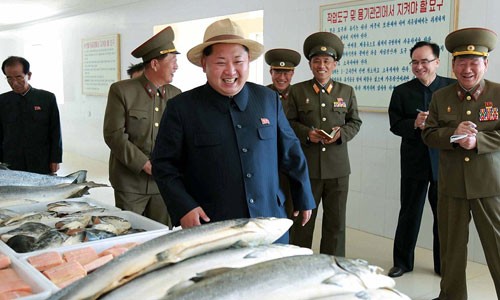 Lanh dao Kim Jong-un thich thu nuoi ca hoi